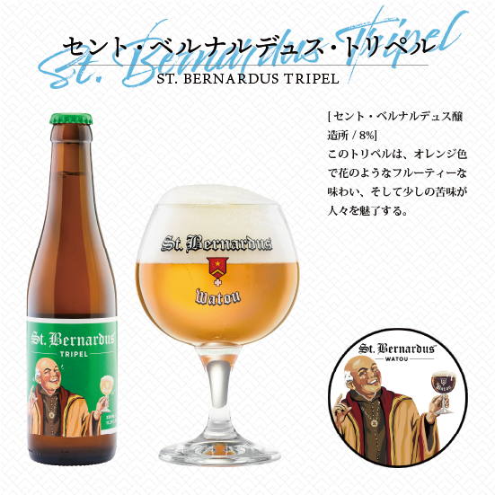 【自社輸入ビール】ベルギー伝統の味を堪能!ベルギークラフトビール飲み比べ6本セット